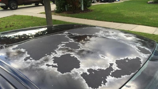 Sun damage to vehicle paint - Scratch and dent repair, car bodywork repair